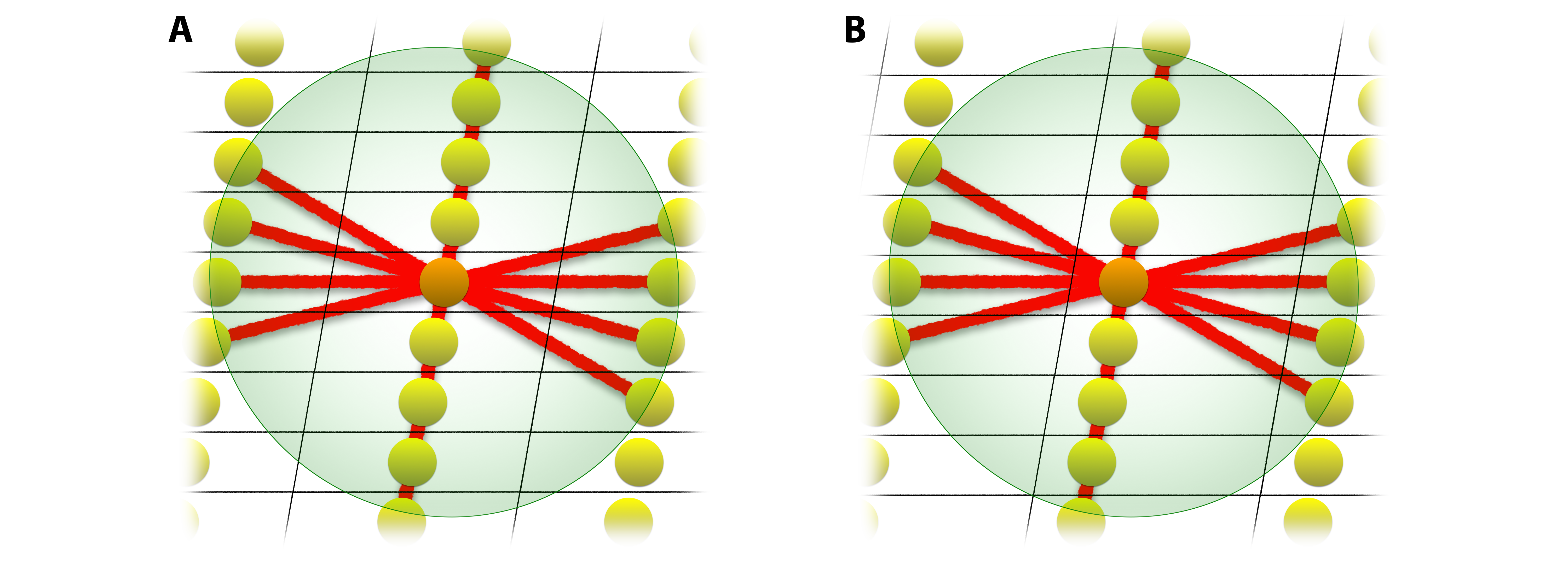 Cell-Space Expert Graph