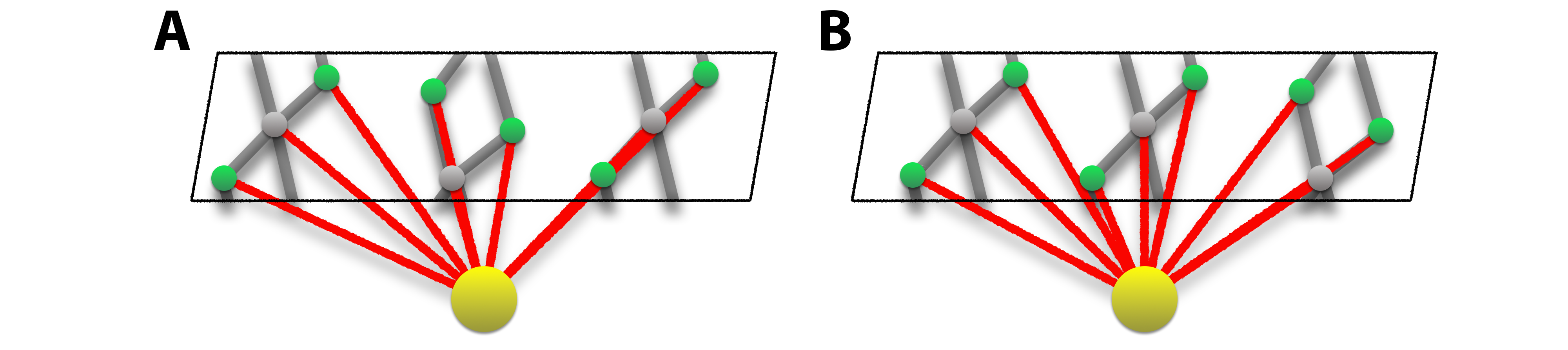 Multiscale Expert Graph